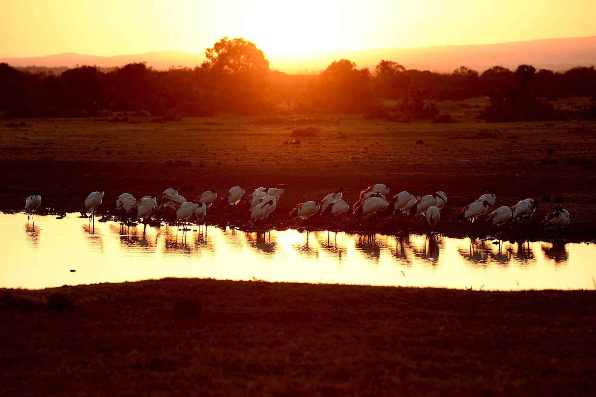 Sweetwaters Serena Camp Nanyuki Exterior foto